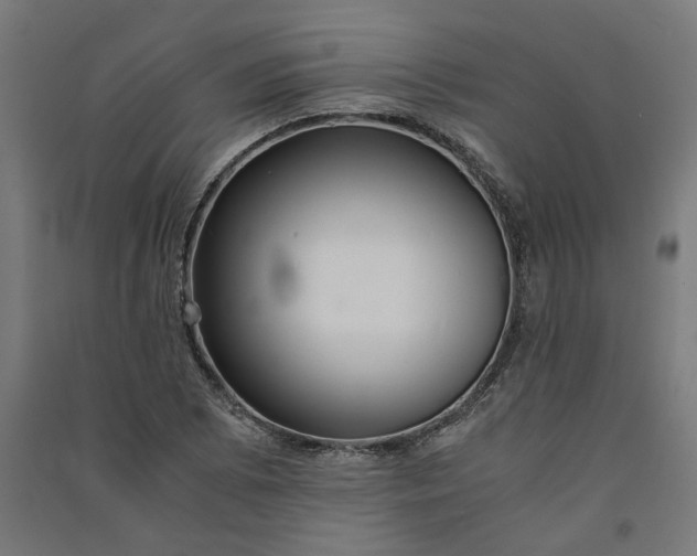 X0000091061073200708201340