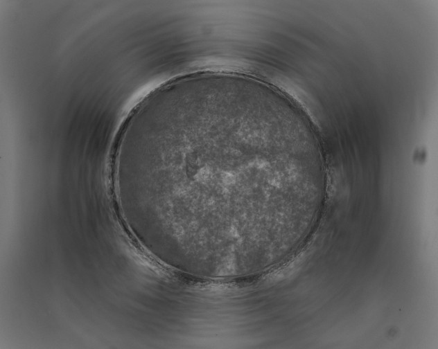 X0000091061074200708201340