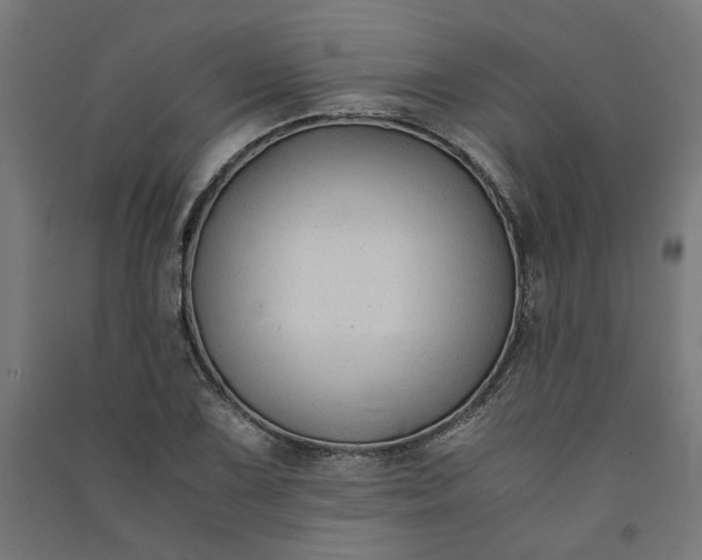 X0000091061075200708201340