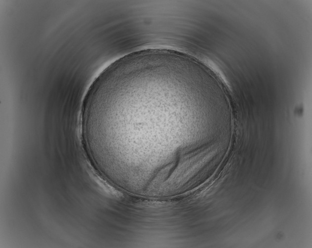X0000091061076200708201340