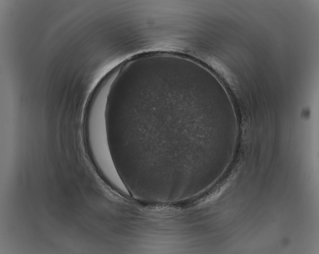 X0000091061077200708201340