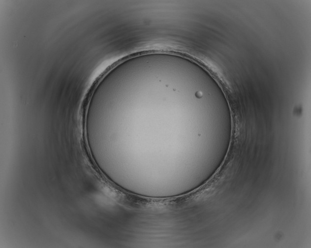 X0000091061078200708201340