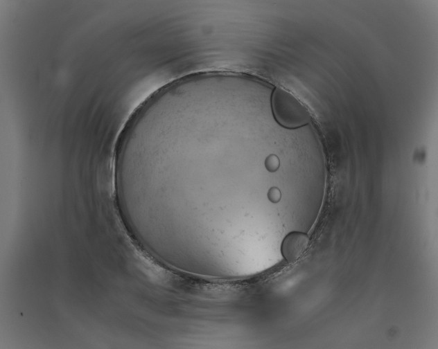 X0000091061079200708201340