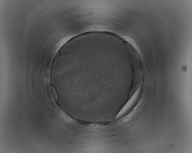 X0000091061081200708201340