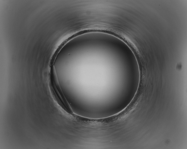 X0000091061085200708201340
