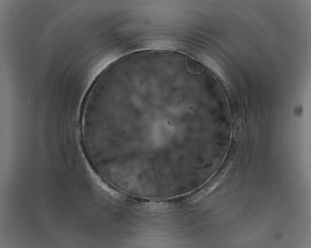X0000091061087200708201340