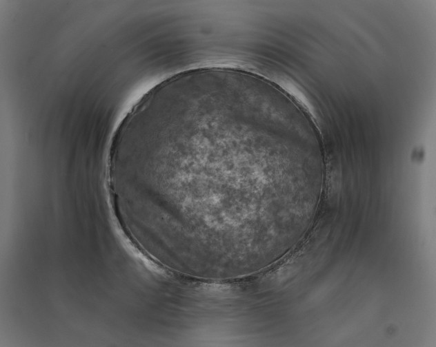 X0000091061088200708201340