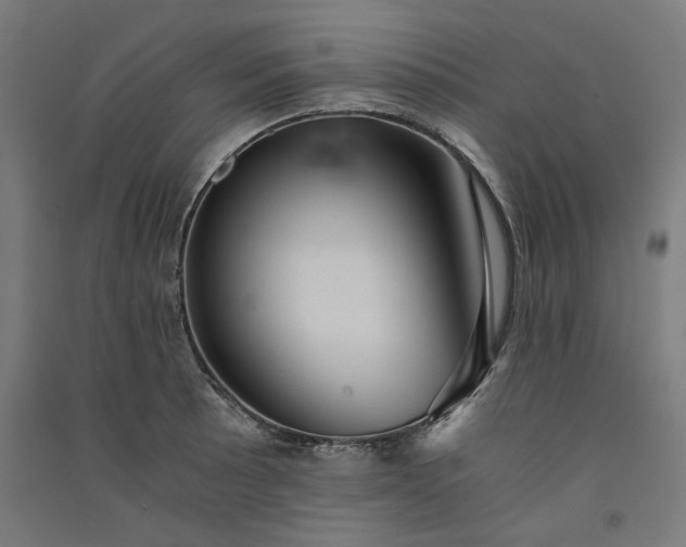 X0000091061089200708201340