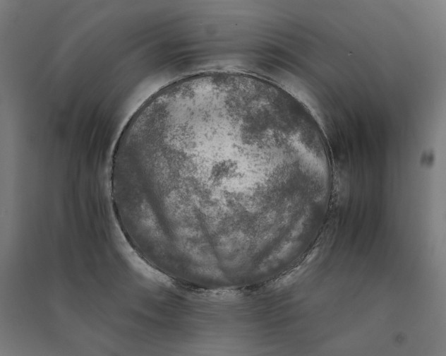 X0000091061090200708201340