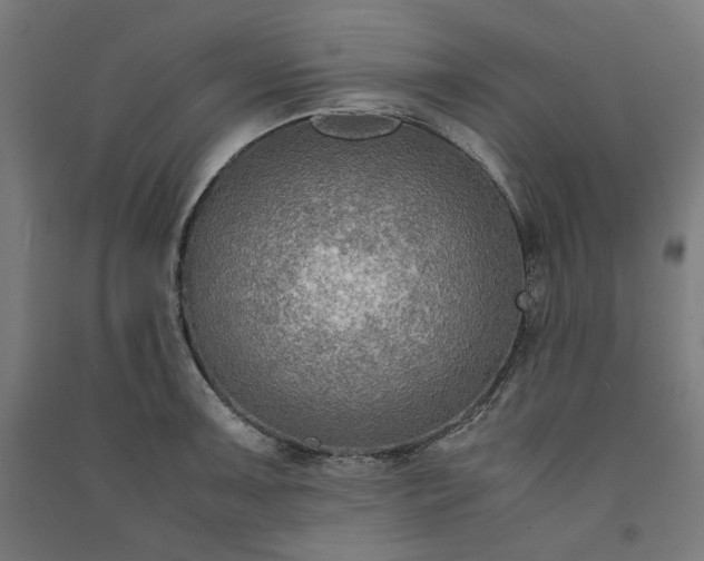 X0000091061091200708201340