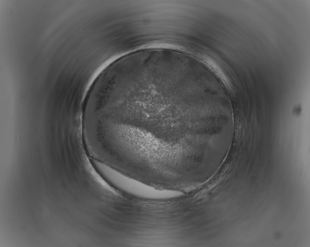 X0000091061092200708201340