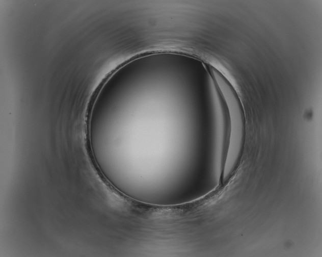 X0000091061093200708201340