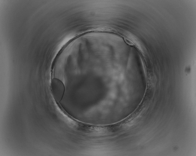 X0000091061095200708201339