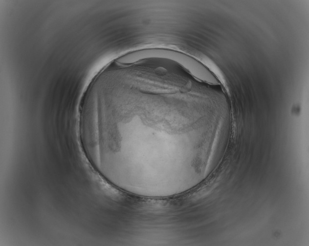 X0000091061096200708201339