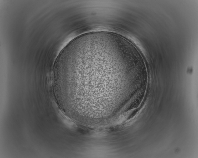 X0000091061097200708201339