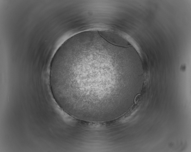 X0000091061099200708201339