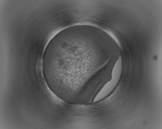 X0000091061100200708201339