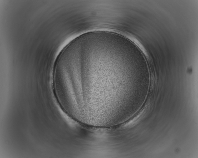 X0000091061101200708201339