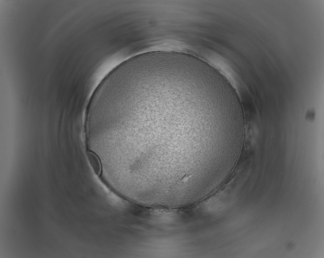 X0000091061103200708201339