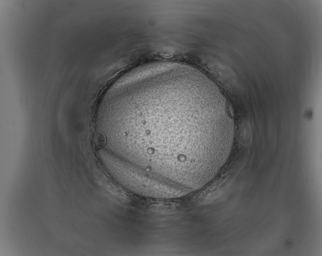 X0000091061105200708201338
