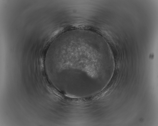 X0000091061106200708201338
