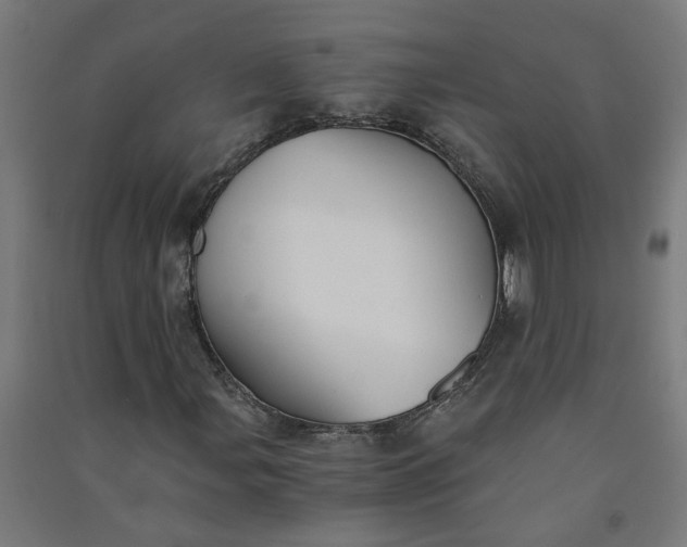X0000091061107200708201338