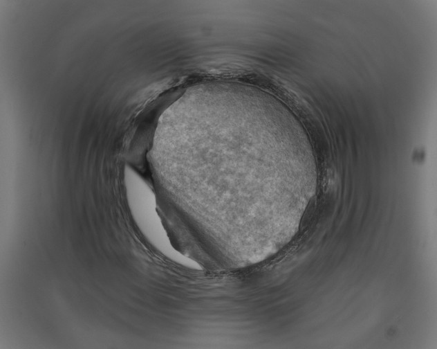 X0000091061108200708201338