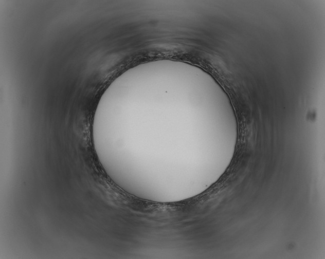 X0000091061109200708201338