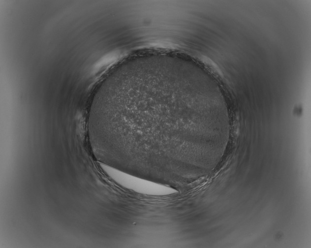 X0000091061110200708201338