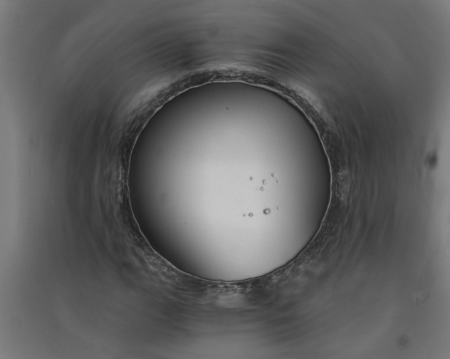 X0000091061111200708201338