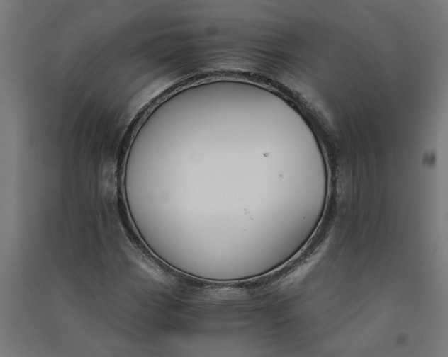 X0000091061113200708201338