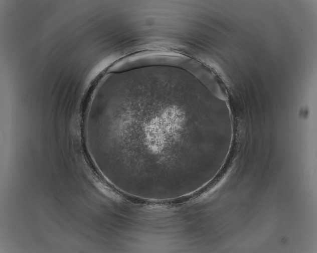 X0000091061114200708201338