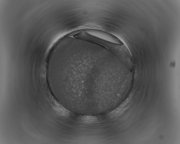 X0000091061115200708201339
