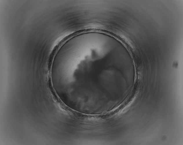 X0000091061117200708201339