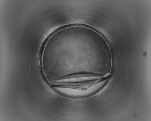 X0000091061118200708201339