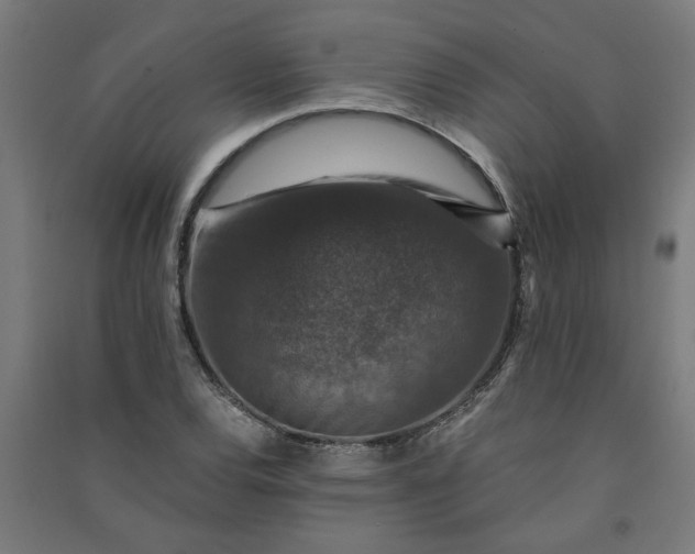 X0000091061120200708201339