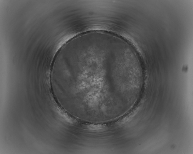 X0000091061121200708201339
