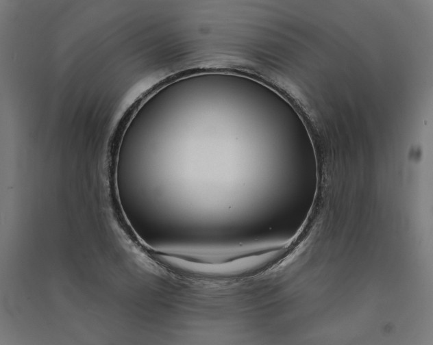 X0000091061122200708201339