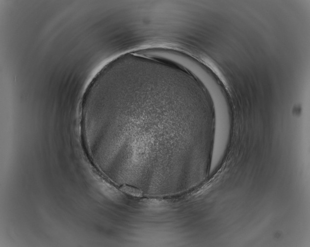 X0000091061124200708201339