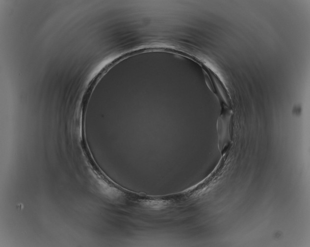 X0000091061127200708201339