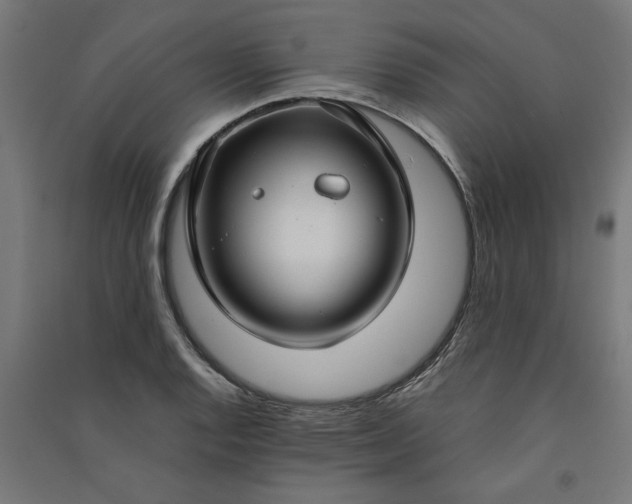X0000091061128200708201339