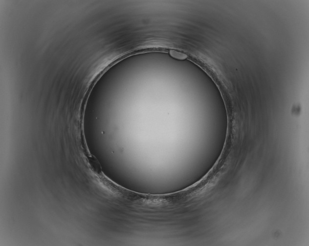 X0000091061129200708201339