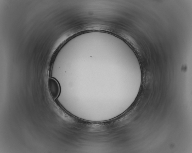 X0000091061130200708201339
