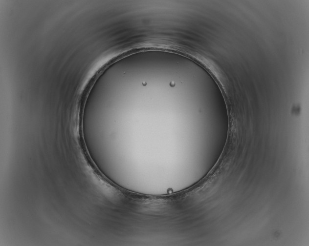 X0000091061131200708201339