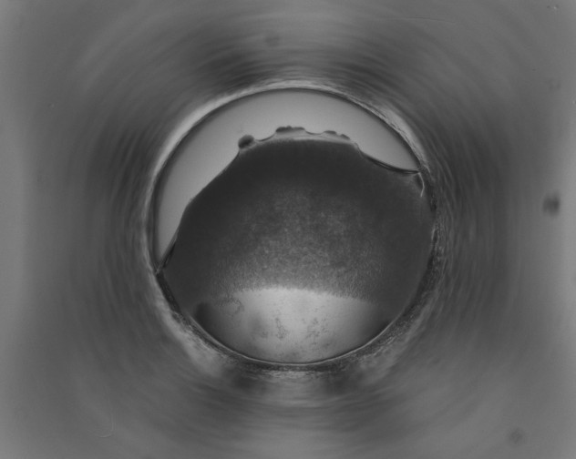 X0000091061132200708201339