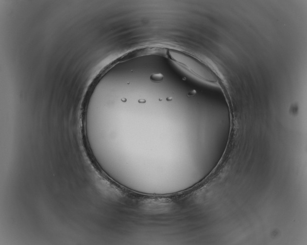 X0000091061133200708201339