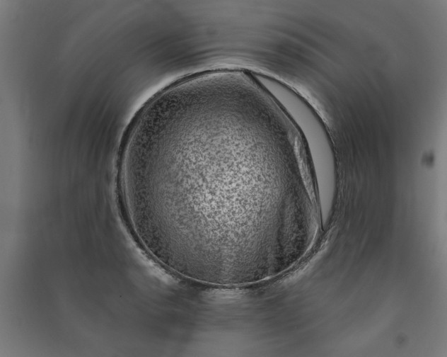 X0000091061134200708201339