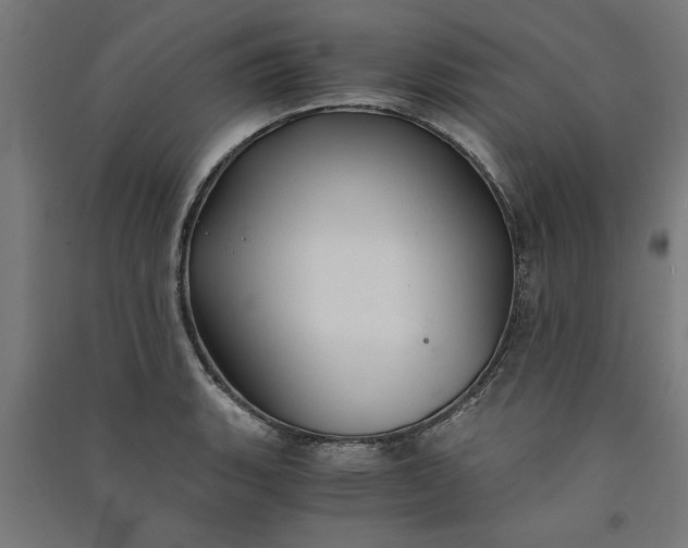 X0000091061135200708201339