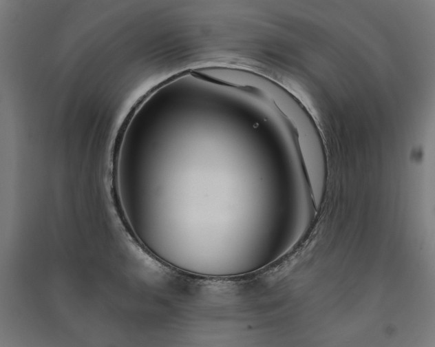 X0000091061136200708201339