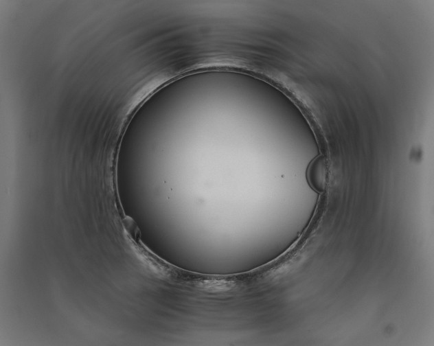 X0000091061137200708201339